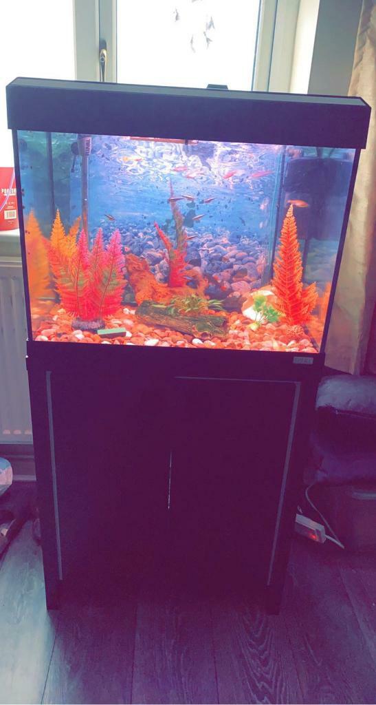 fibre fish tank